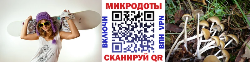 Галлюциногенные грибы мухоморы  Салават 